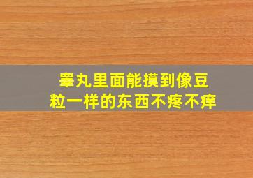 睾丸里面能摸到像豆粒一样的东西不疼不痒