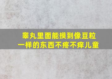 睾丸里面能摸到像豆粒一样的东西不疼不痒儿童