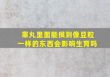 睾丸里面能摸到像豆粒一样的东西会影响生育吗