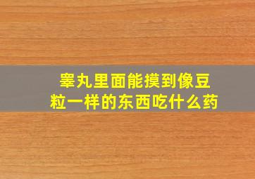 睾丸里面能摸到像豆粒一样的东西吃什么药