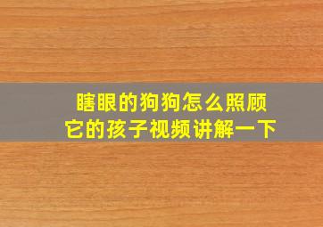 瞎眼的狗狗怎么照顾它的孩子视频讲解一下