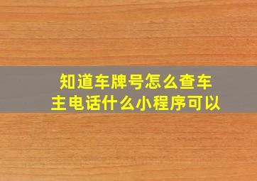 知道车牌号怎么查车主电话什么小程序可以