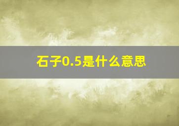 石子0.5是什么意思