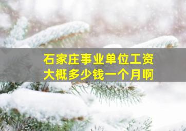 石家庄事业单位工资大概多少钱一个月啊