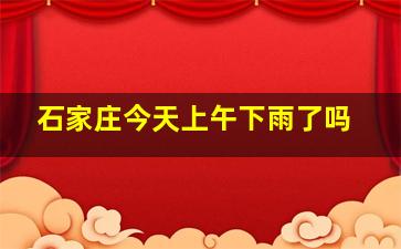 石家庄今天上午下雨了吗