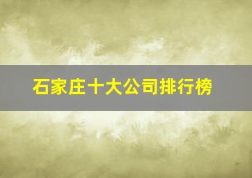 石家庄十大公司排行榜