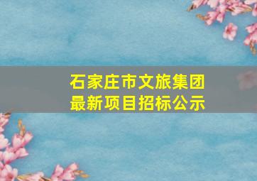 石家庄市文旅集团最新项目招标公示