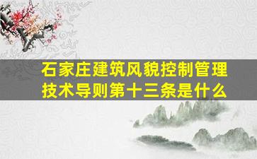 石家庄建筑风貌控制管理技术导则第十三条是什么