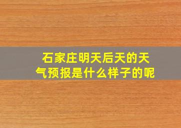 石家庄明天后天的天气预报是什么样子的呢