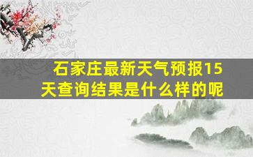 石家庄最新天气预报15天查询结果是什么样的呢