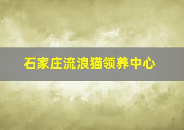 石家庄流浪猫领养中心