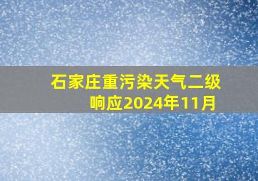 石家庄重污染天气二级响应2024年11月