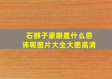 石狮子蒙眼是什么忌讳呢图片大全大图高清