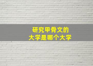 研究甲骨文的大学是哪个大学