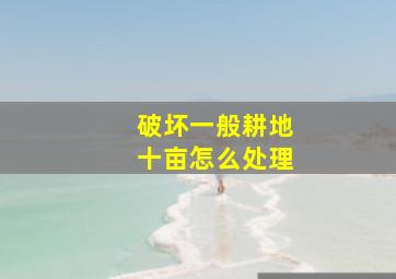 破坏一般耕地十亩怎么处理