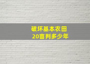 破坏基本农田20亩判多少年