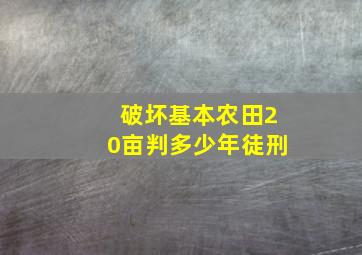 破坏基本农田20亩判多少年徒刑