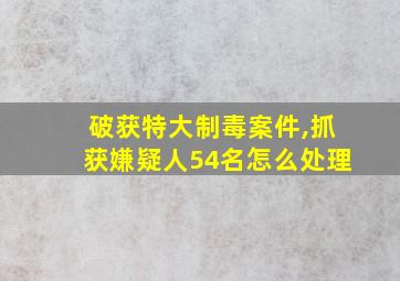 破获特大制毒案件,抓获嫌疑人54名怎么处理