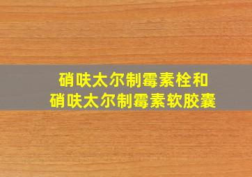 硝呋太尔制霉素栓和硝呋太尔制霉素软胶囊