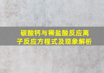 碳酸钙与稀盐酸反应离子反应方程式及现象解析