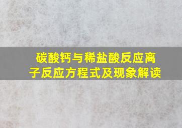 碳酸钙与稀盐酸反应离子反应方程式及现象解读