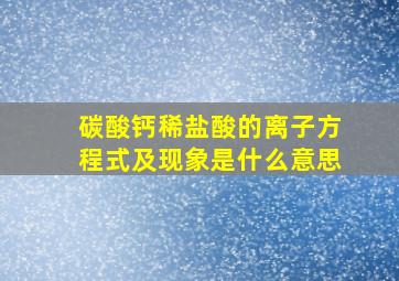 碳酸钙稀盐酸的离子方程式及现象是什么意思