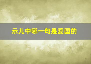 示儿中哪一句是爱国的