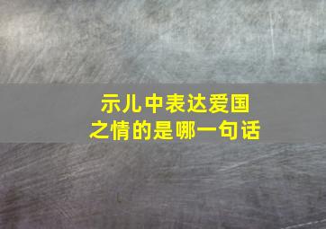 示儿中表达爱国之情的是哪一句话