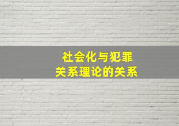 社会化与犯罪关系理论的关系