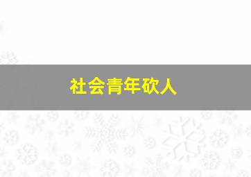 社会青年砍人