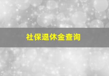 社保退休金查询