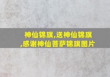 神仙锦旗,送神仙锦旗,感谢神仙菩萨锦旗图片