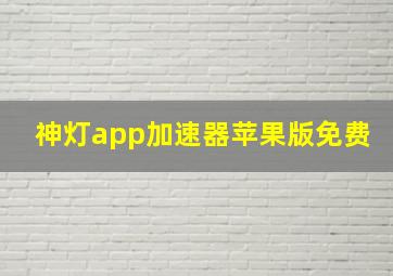 神灯app加速器苹果版免费