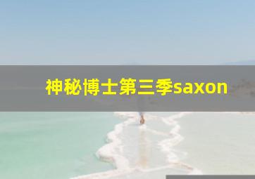 神秘博士第三季saxon