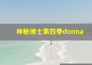 神秘博士第四季donna