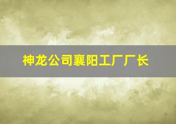 神龙公司襄阳工厂厂长