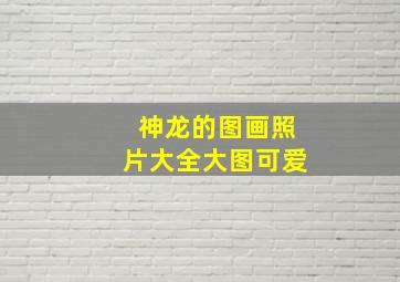 神龙的图画照片大全大图可爱