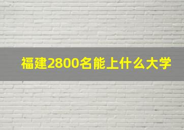 福建2800名能上什么大学