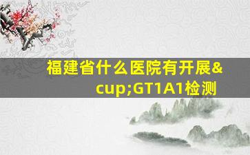 福建省什么医院有开展∪GT1A1检测