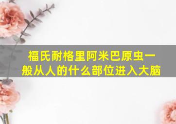 福氏耐格里阿米巴原虫一般从人的什么部位进入大脑