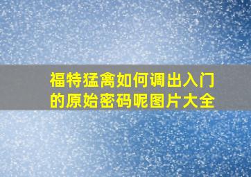 福特猛禽如何调出入门的原始密码呢图片大全