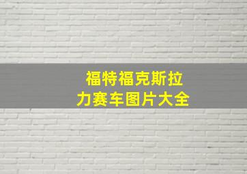 福特福克斯拉力赛车图片大全