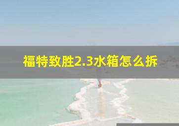 福特致胜2.3水箱怎么拆