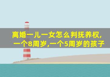 离婚一儿一女怎么判抚养权,一个8周岁,一个5周岁的孩子