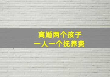 离婚两个孩子一人一个抚养费