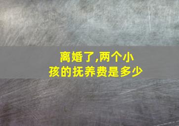 离婚了,两个小孩的抚养费是多少