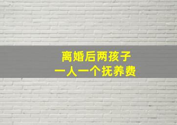 离婚后两孩子一人一个抚养费