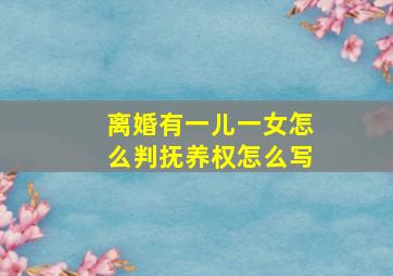 离婚有一儿一女怎么判抚养权怎么写