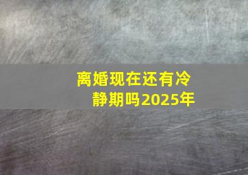 离婚现在还有冷静期吗2025年