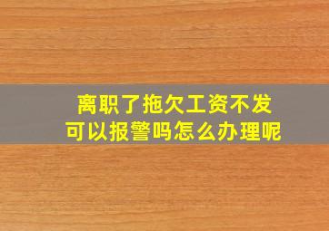 离职了拖欠工资不发可以报警吗怎么办理呢